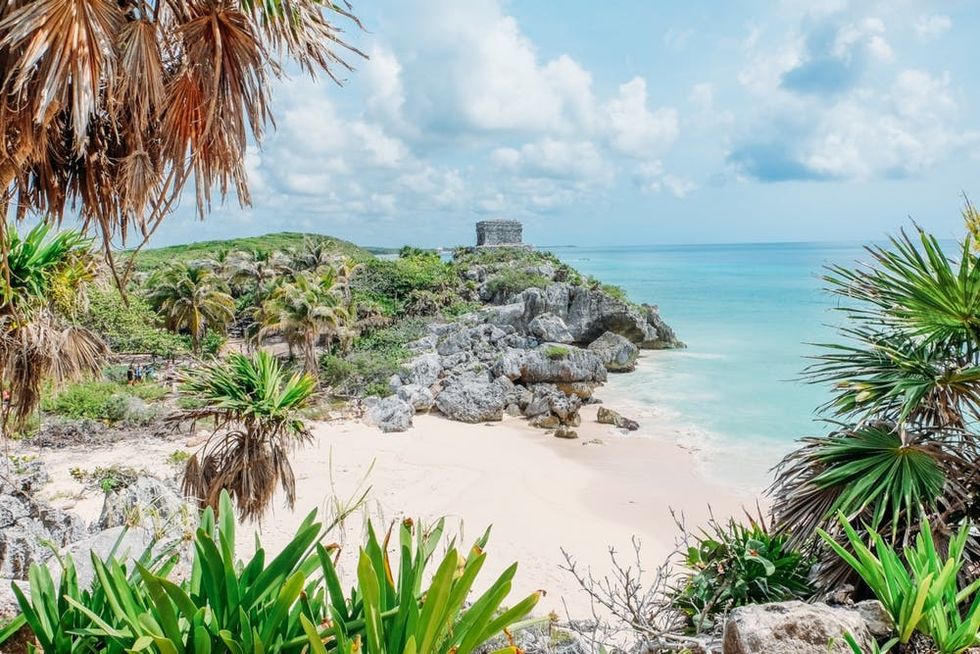 Palm trees stand by the ocean in Tulum