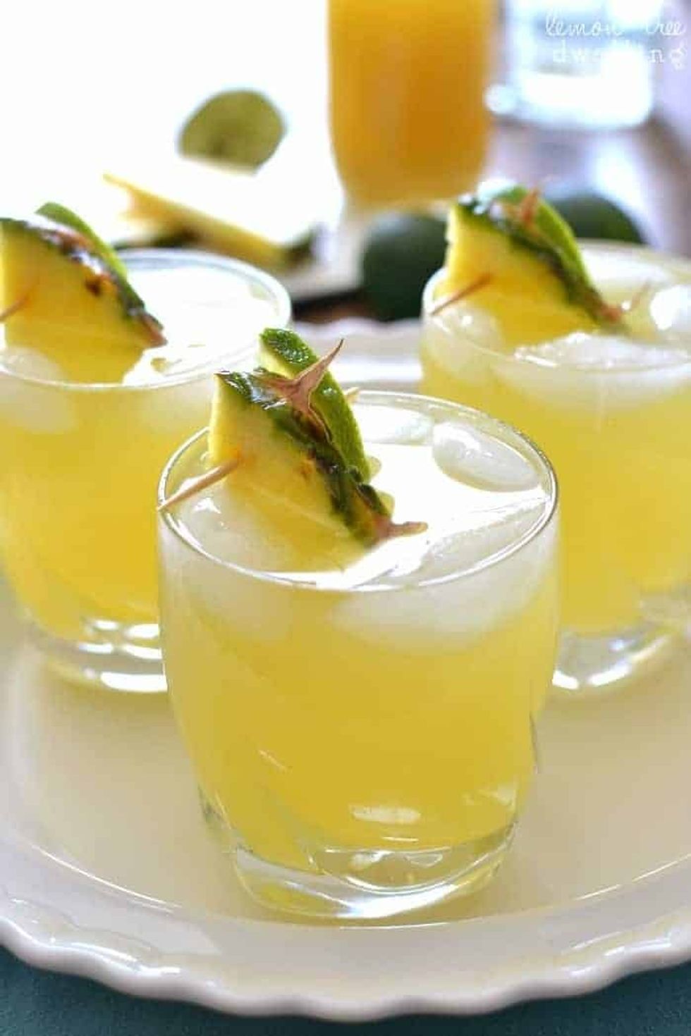 paloma cocktails