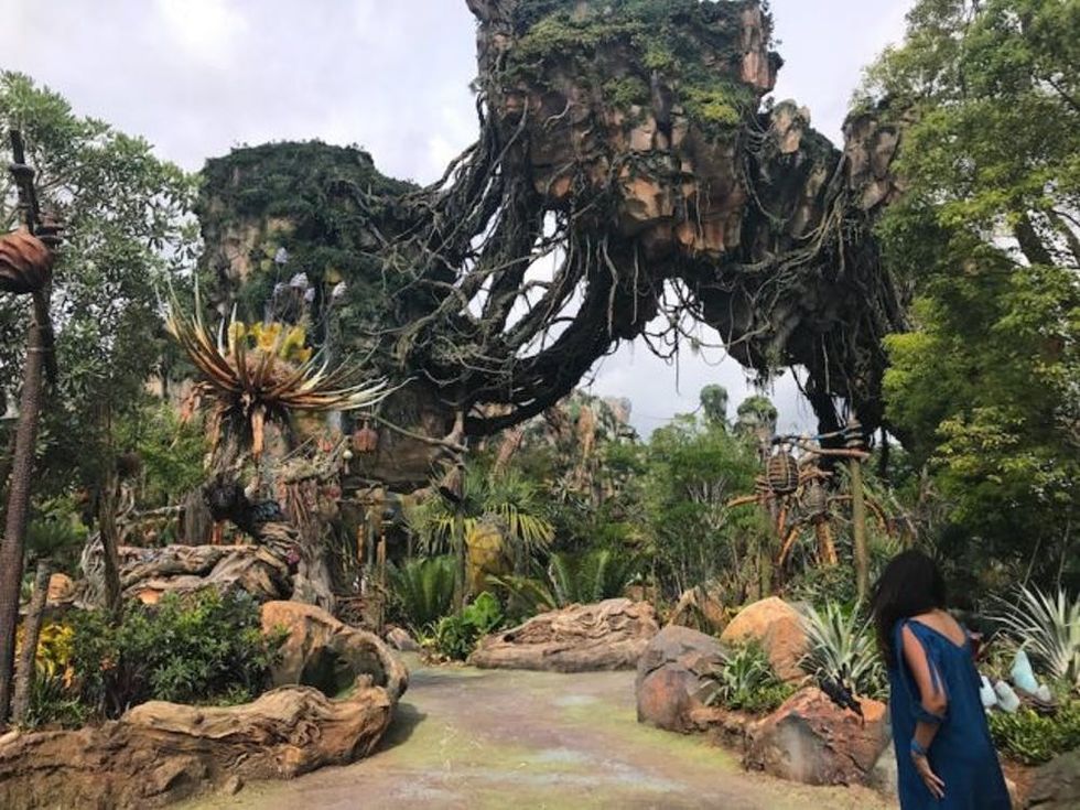 Pandora WDW