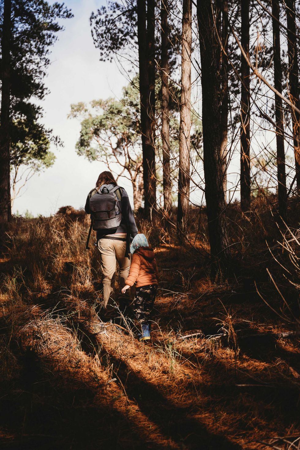 Parent and child walking through a sunlit forest of tall trees.