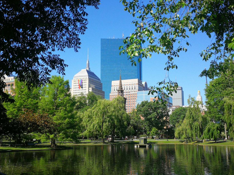 Park pond with city skyline and leafy trees under a clear blue sky.
