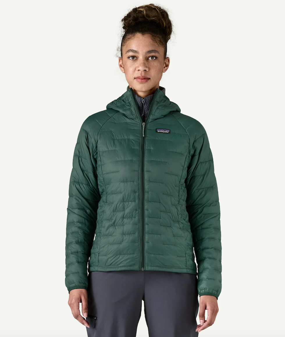 Patagonia Micro Puff Hoody