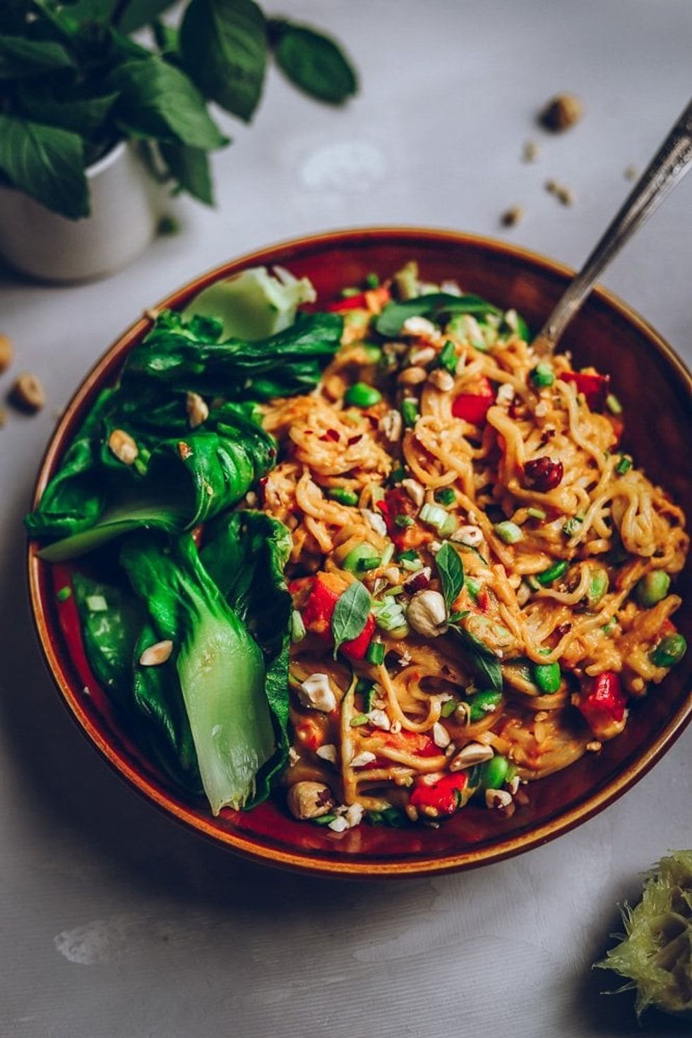 Peanut Satay Noodles recipe