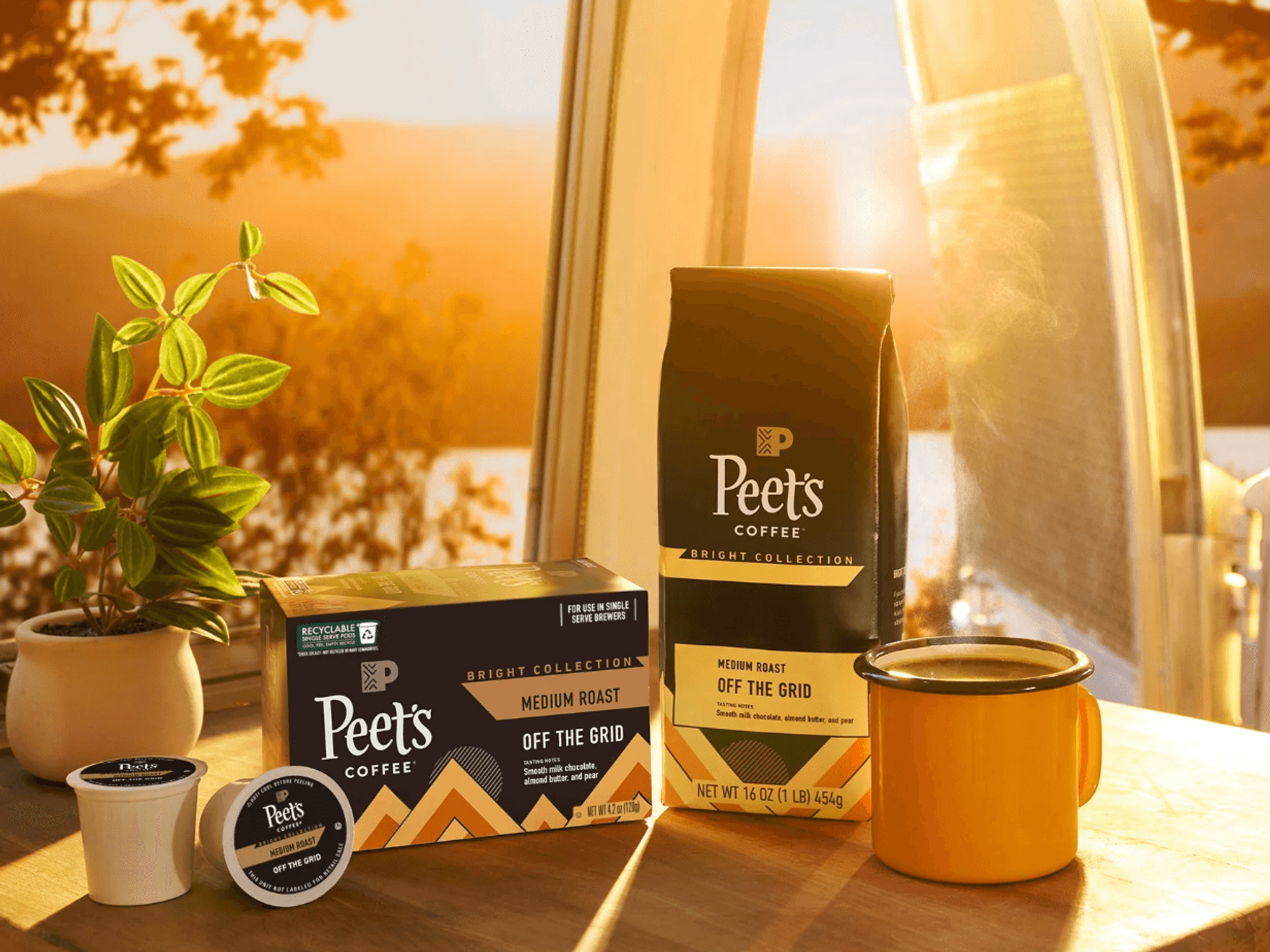 Peet\u2019s Coffee with mug on table, sunset view through window, plant nearby.