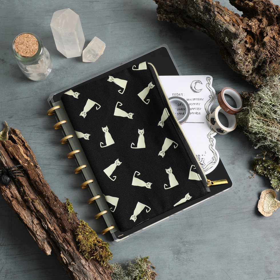 Pen Pouch disney hocus pocus