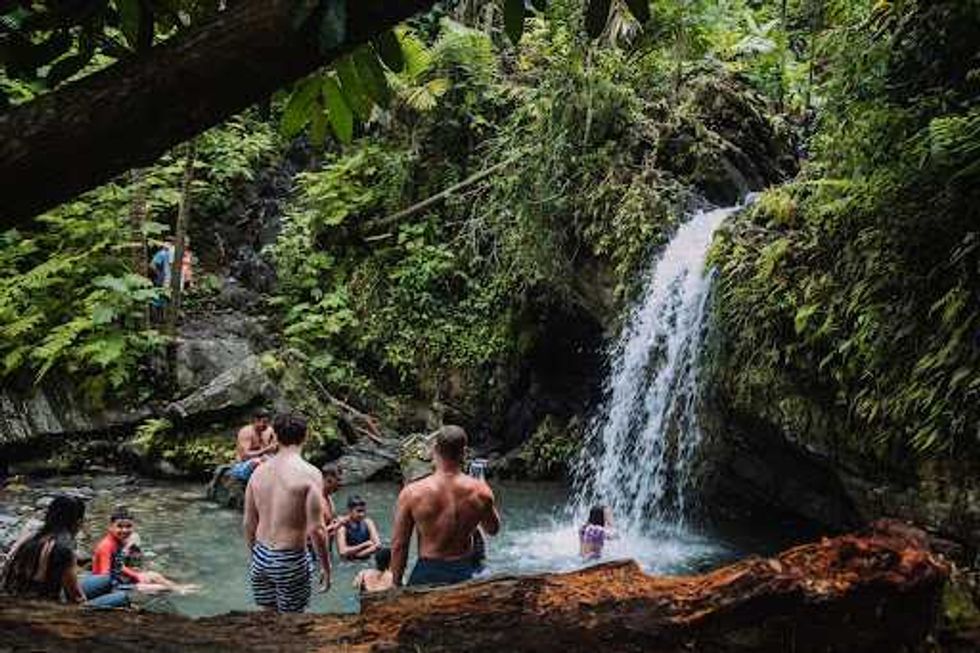 People swimming near a waterfall in a lush, green forest setting.