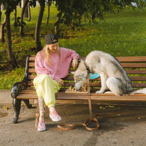 Person and husky play chess on a park bench, surrounded by greenery.