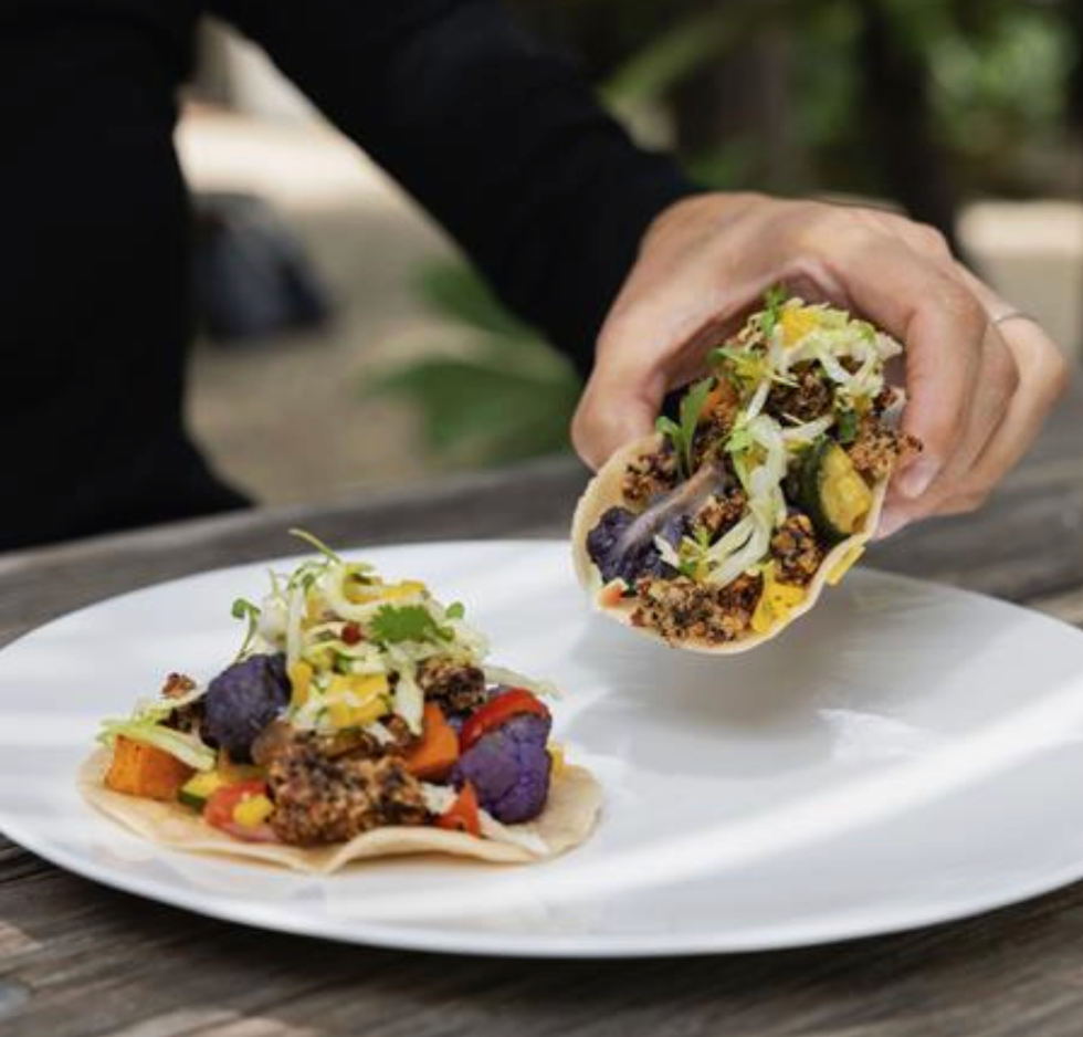 Person holding a colorful vegetable taco over a white plate with another taco.