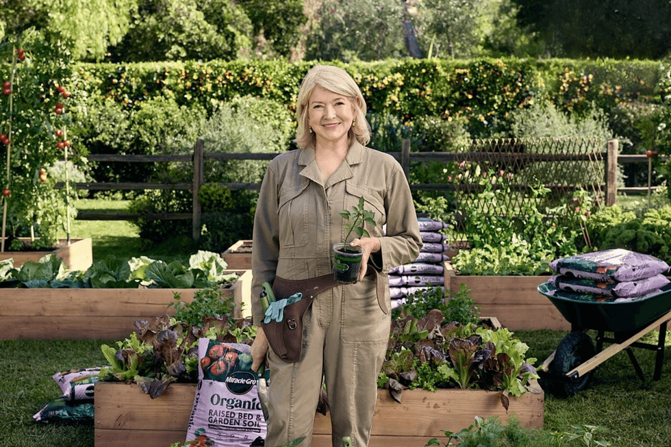Martha Stewart’s Best Fall Gardening Tips Prove Anyone Can Be a Green Thumb