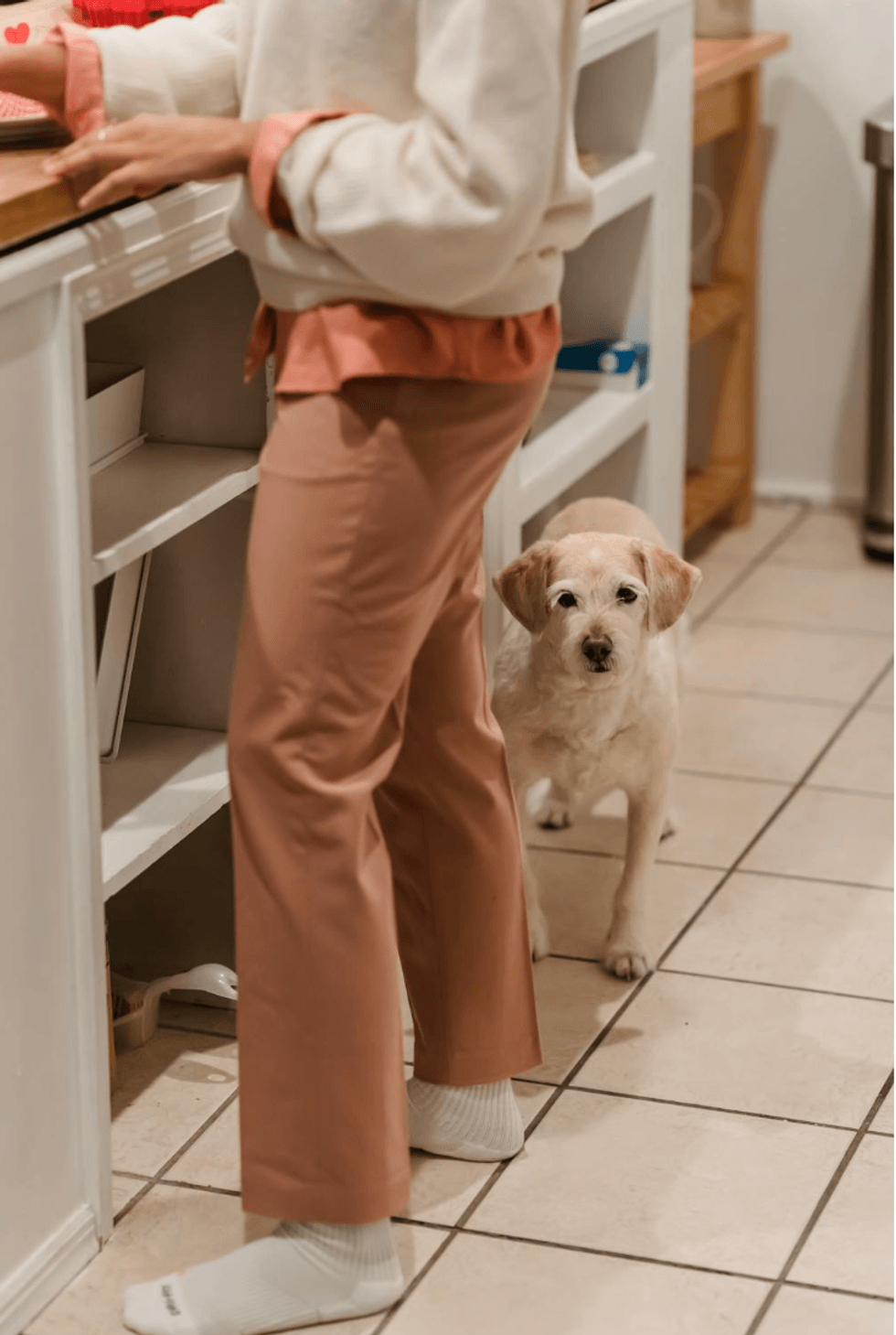 Person in pink pants at kitchen counter, with small dog on the floor nearby.