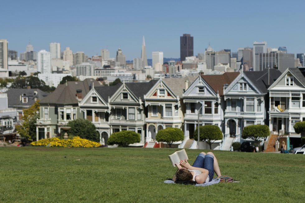 Person reading on grass with Painted Ladies and cityscape in background.