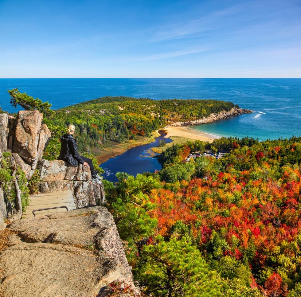 Person sitting on a cliff, overlooking colorful autumn forest and ocean.