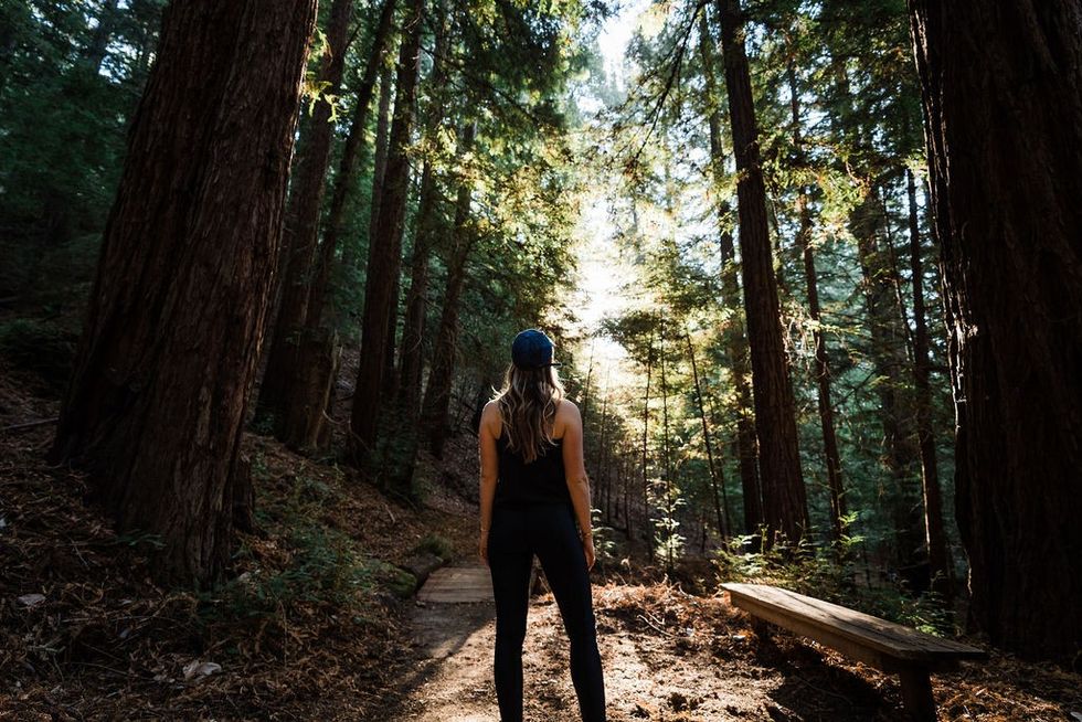 Person standing on a forest trail, sunlight filtering through tall trees.