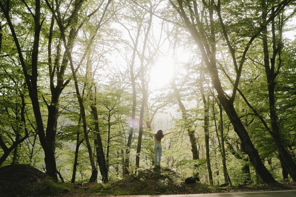 Person stands in a sunlit forest with arms outstretched towards the sky.