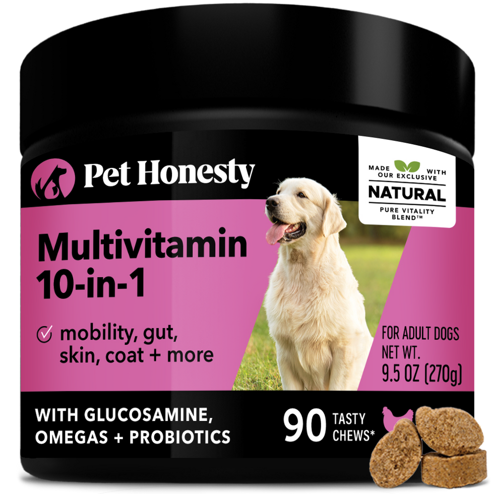 Pet Honesty Multivitamin 10-in-1 Soft Chews for Dogs
