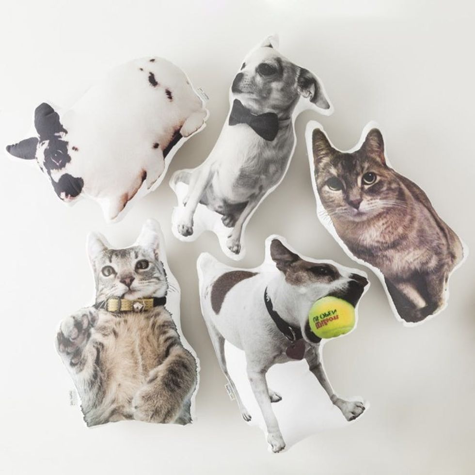 PET_PILLOWS_006