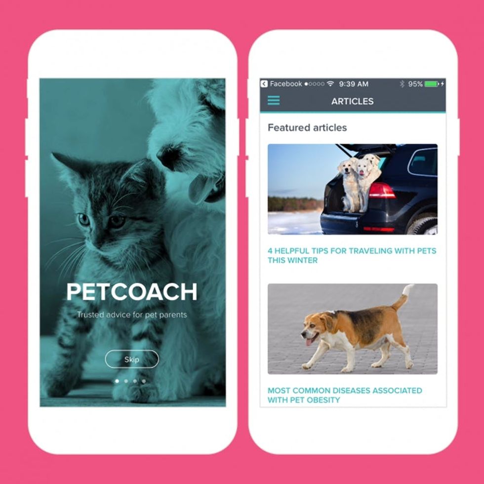 petcoach