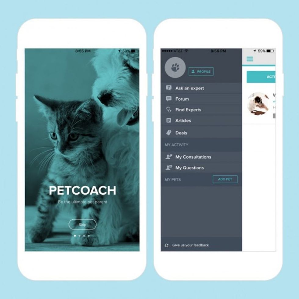 petCoach