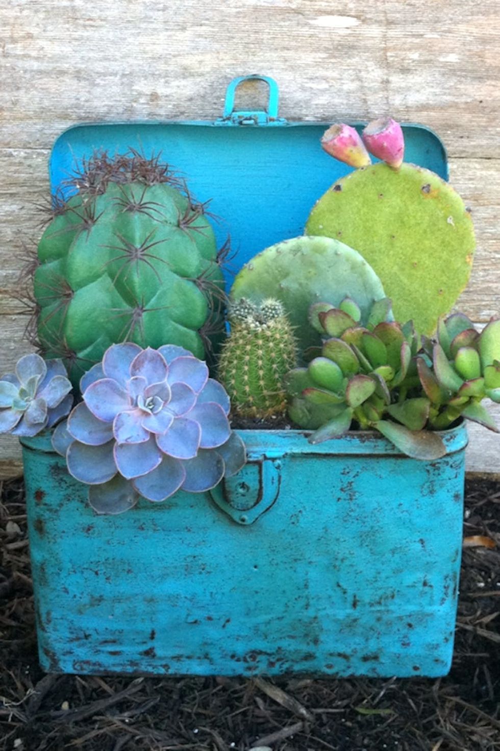 Photobucket zchick1836