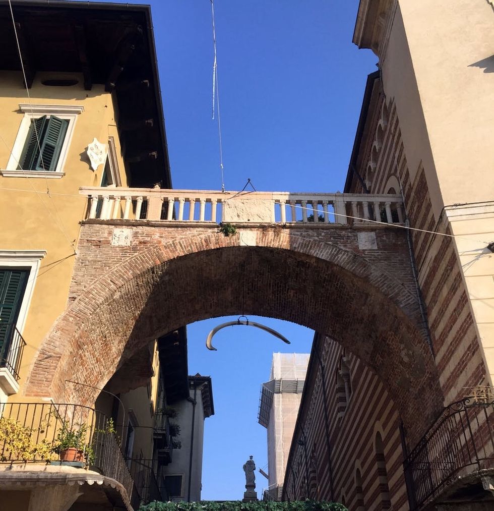 piazza erbe whale bone verona