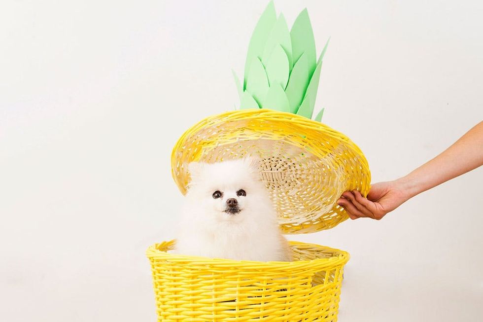 Pinapple_Laundry_basket_Bear_6
