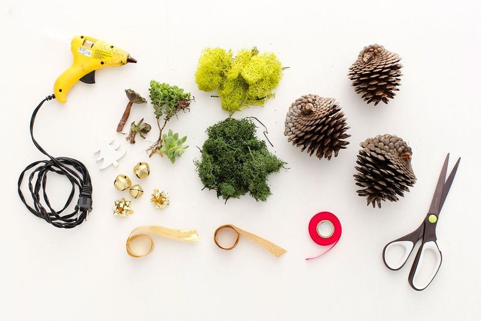 Pine_Cone_Terrariums_001