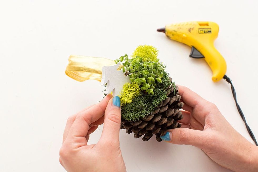 Pine_Cone_Terrariums_011