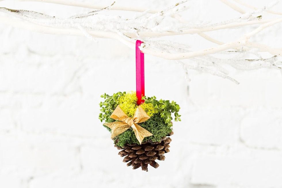 Pine_Cone_Terrariums_023