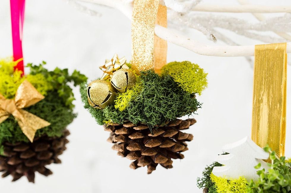 Pine_Cone_Terrariums_028