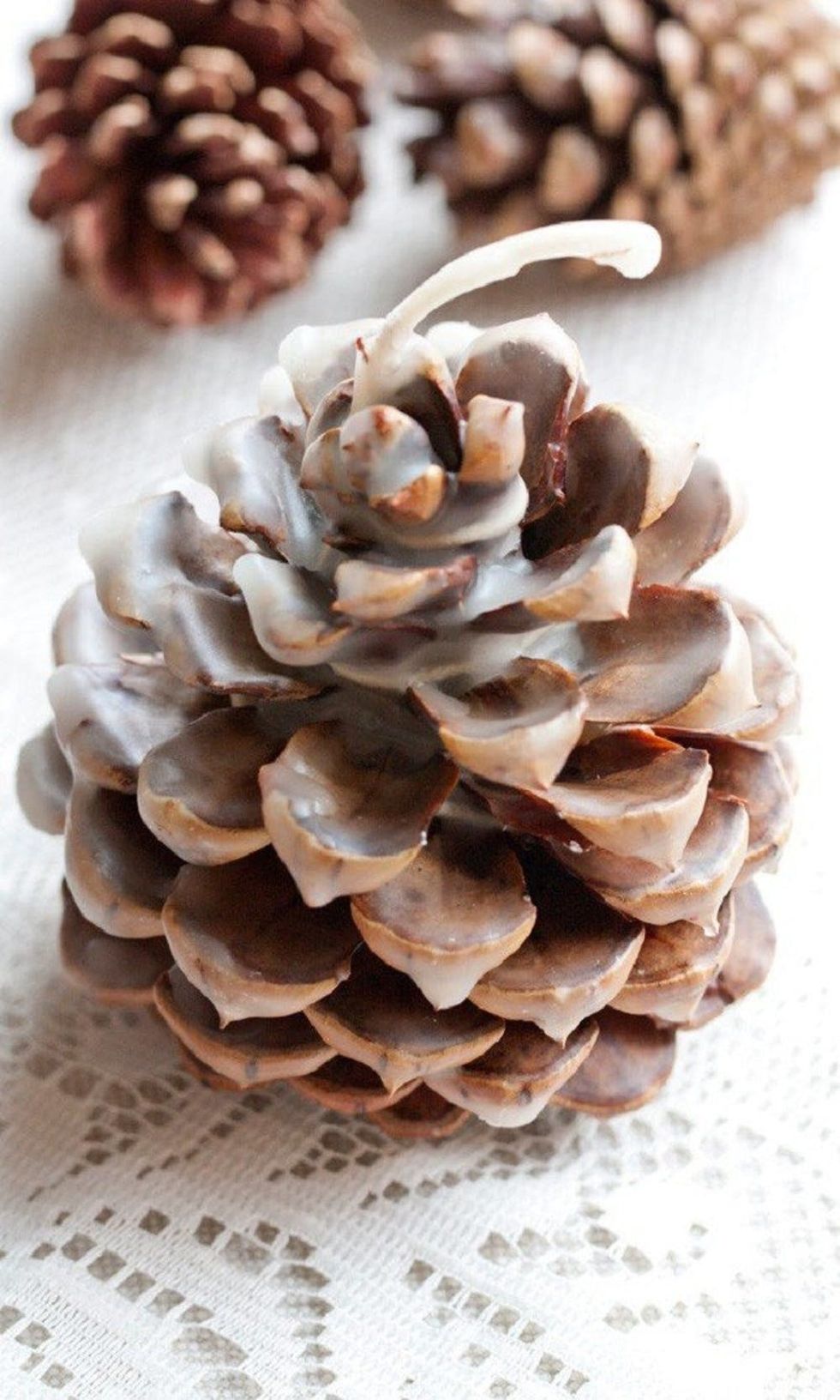 Pinecone Fire Starter
