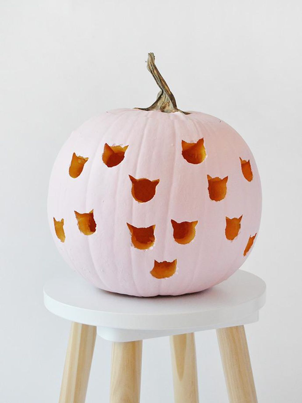 pink cats Creative Pumpkin Carving Ideas DIY Cat Drilled Pumpkin