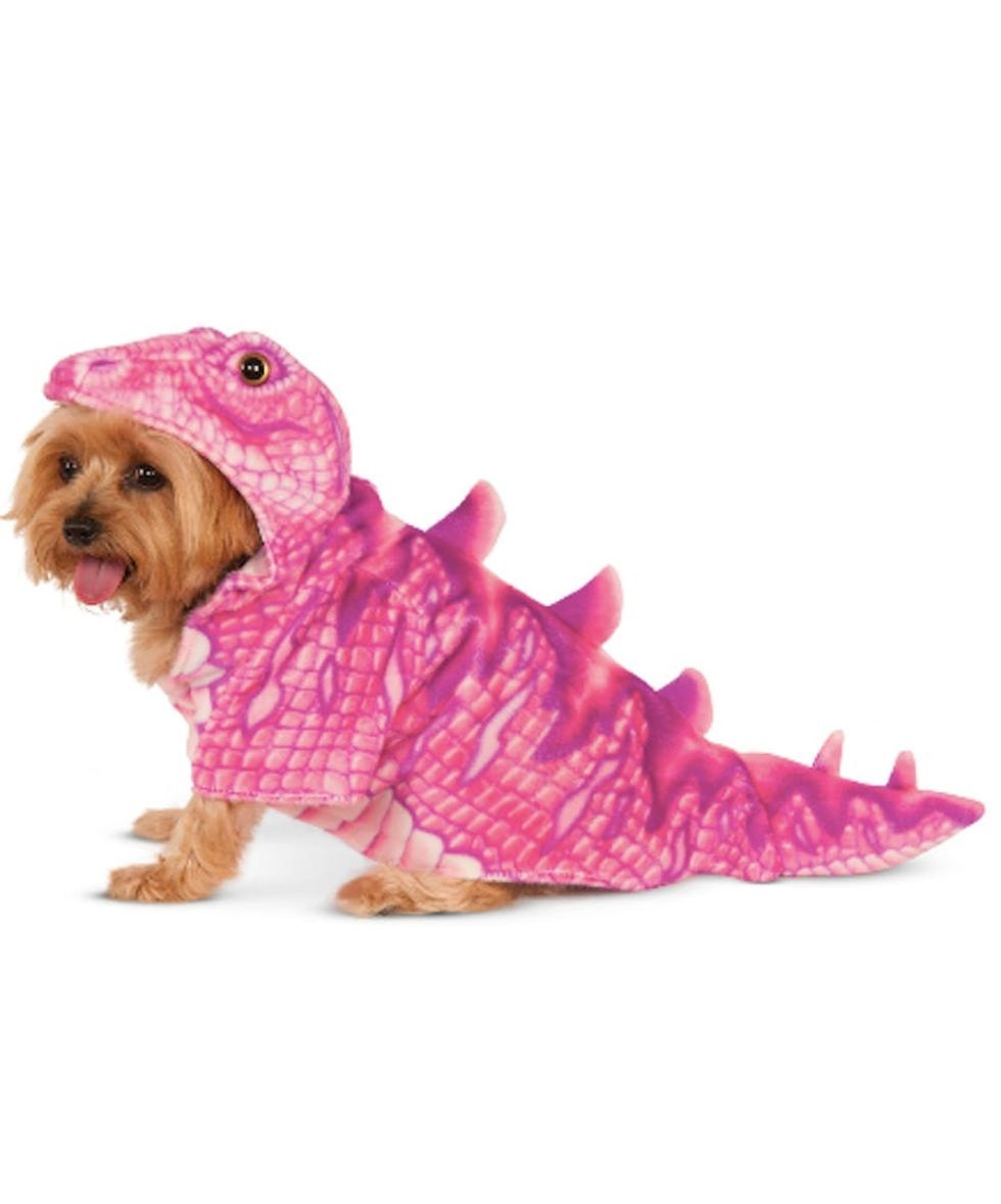 48 Dog Halloween Costume Ideas Brit + Co Brit + Co
