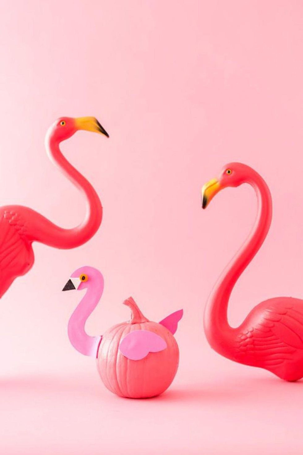 pink flamingos Creative Pumpkin Carving Ideas