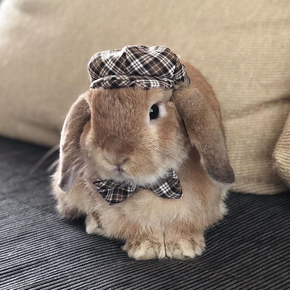 Plaid Hat and Bow Tie Set