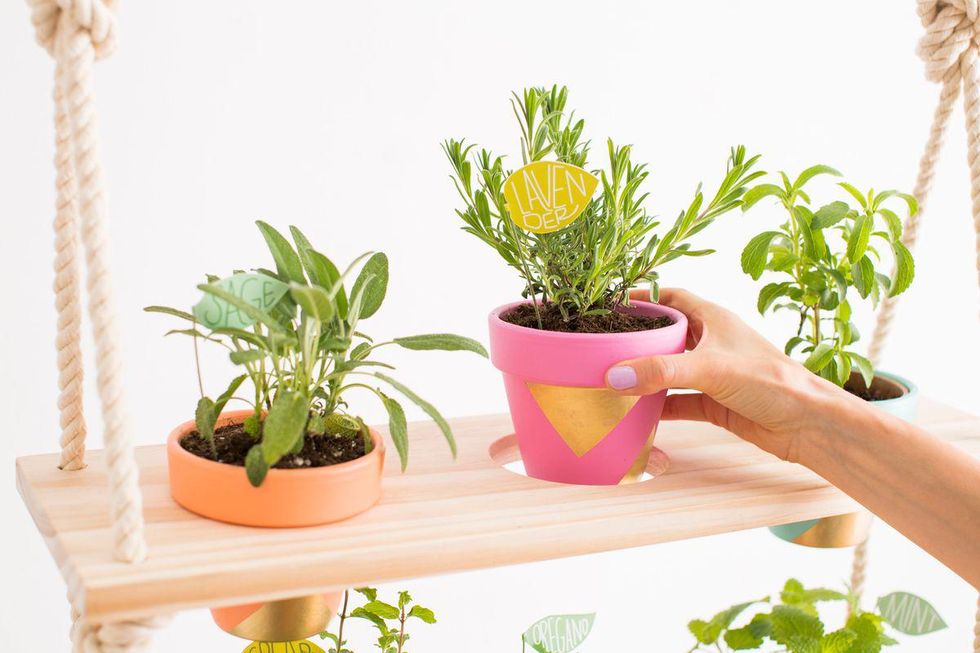 plant diy projects