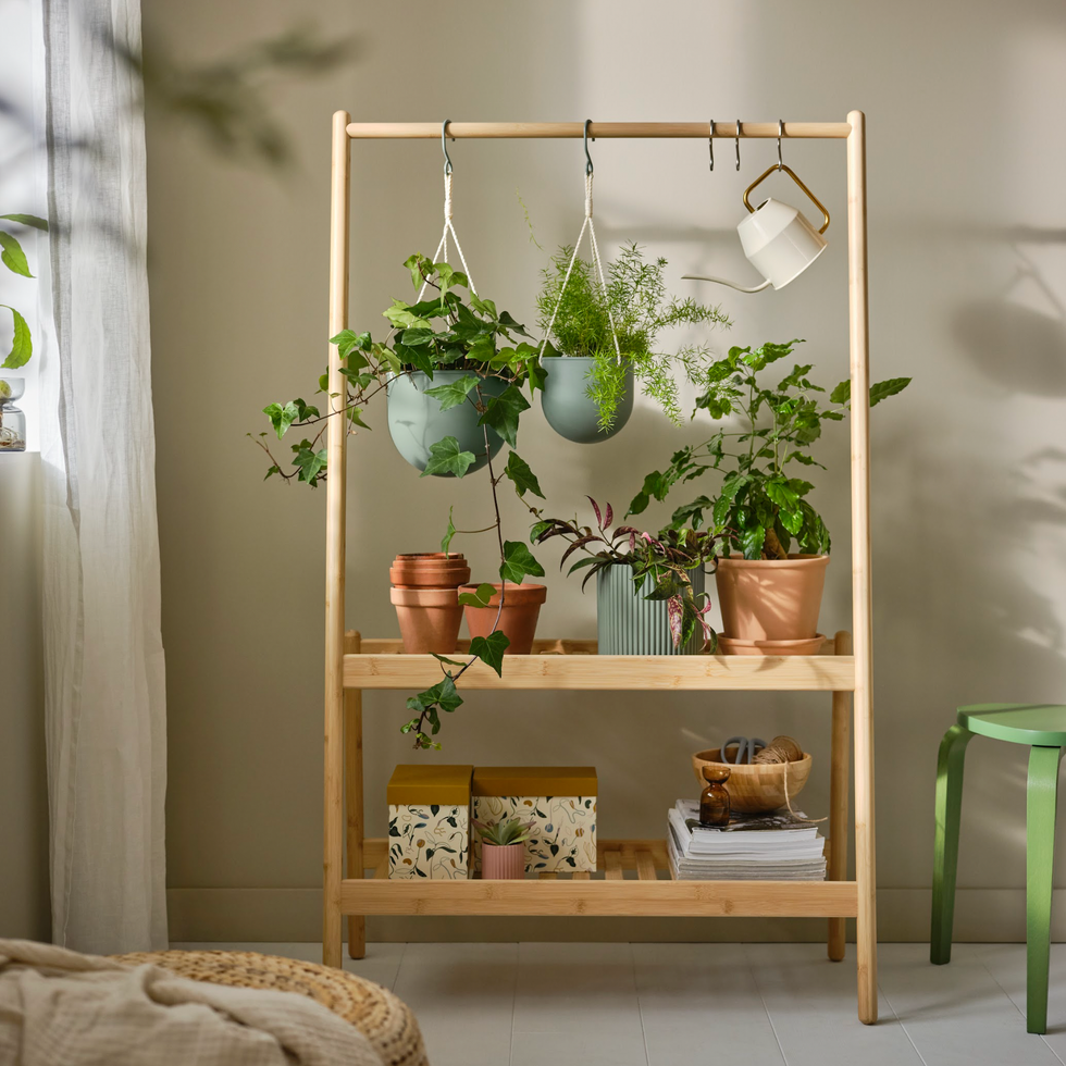 plant stand