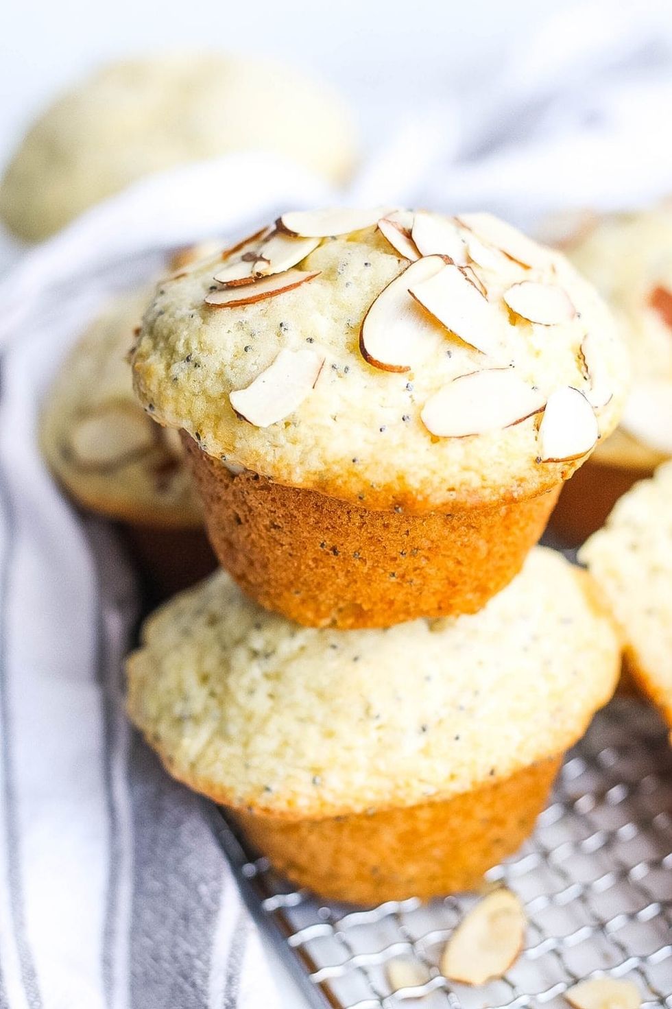 poppy seed muffin