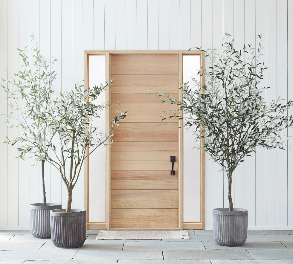 Pottery Barn Faux Olive Trees