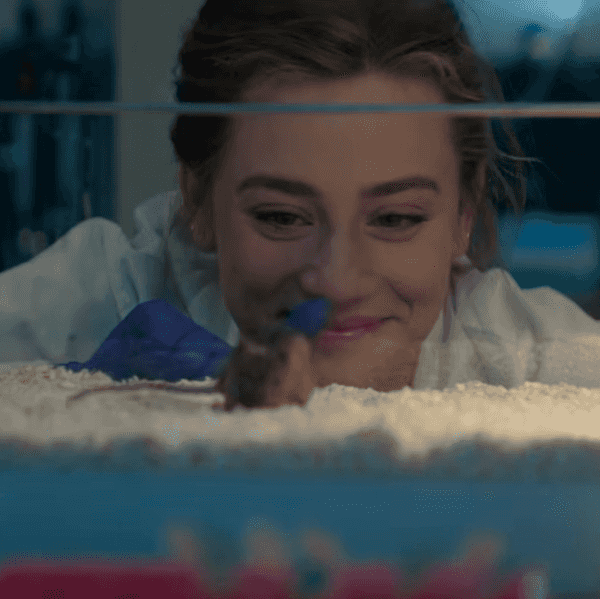 prime video the love hypothesis