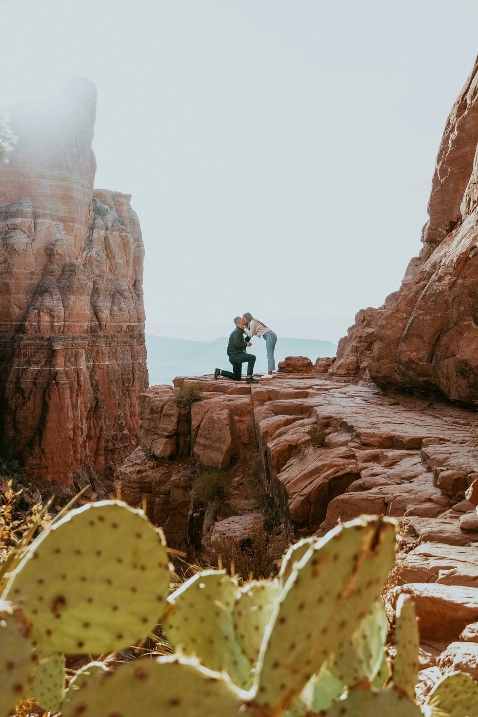 Proposal on a rocky cliff with a cactus in the foreground.