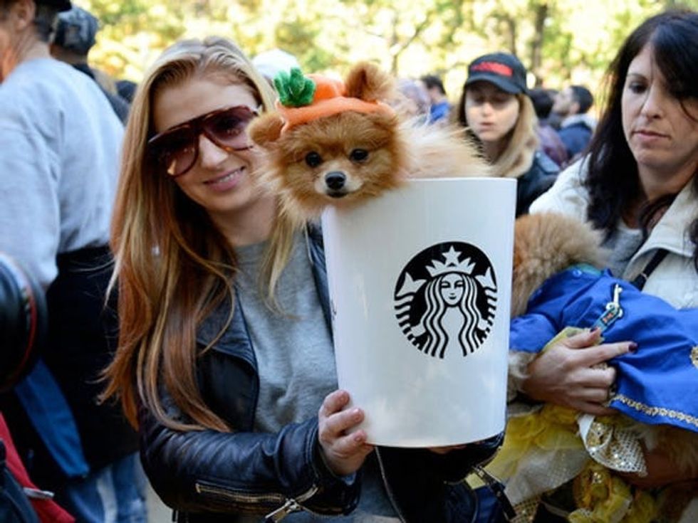 PSL dog costume