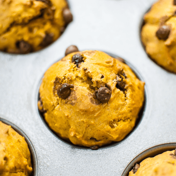 Pumpkin Chocolate Chip Muffins