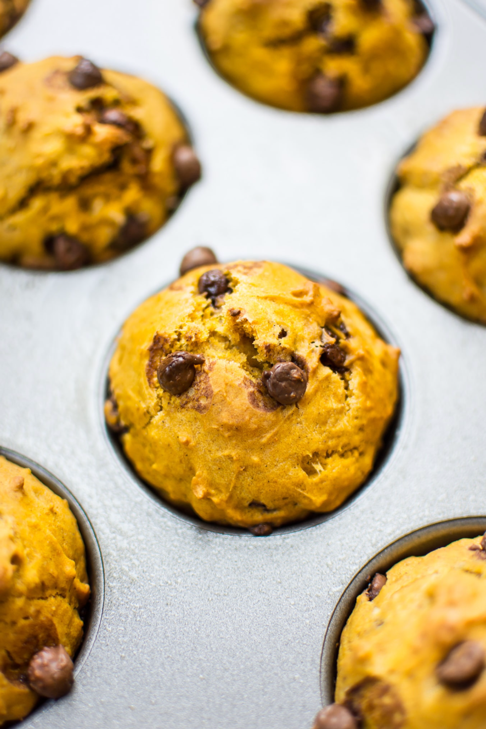Pumpkin Chocolate Chip Muffins