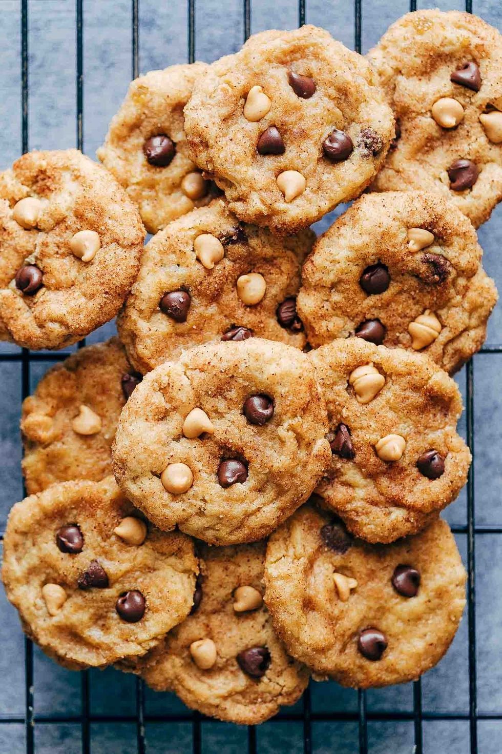Pumpkin Chocolate Chip Snickerdoodles
