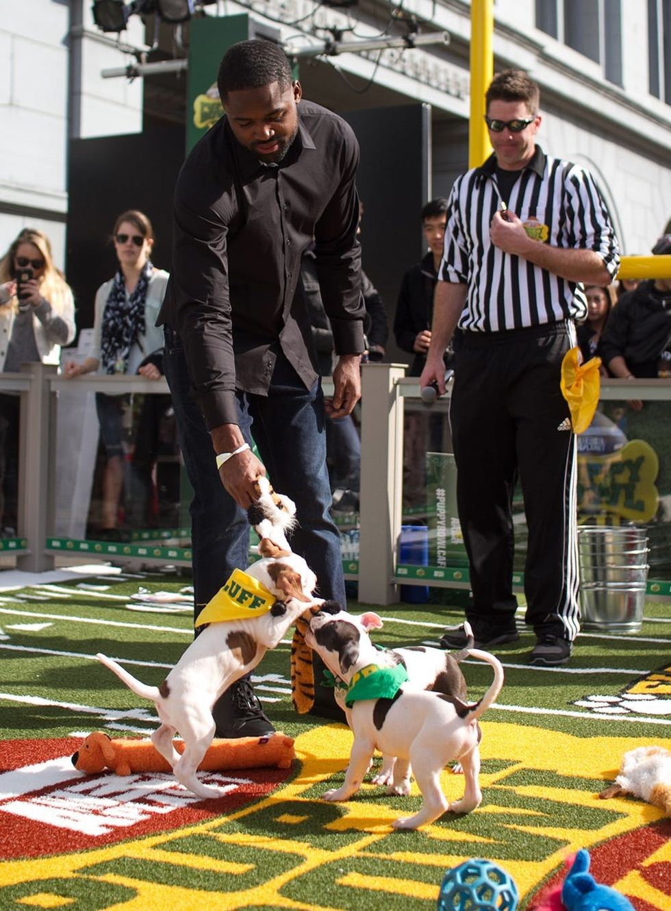 puppy bowl 5