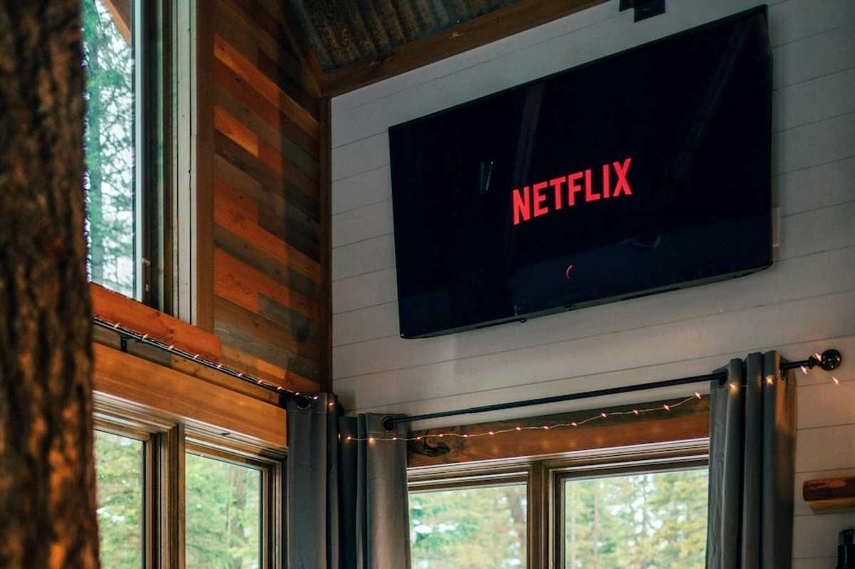 puppy sitting in front of a tv with netflix on the screen