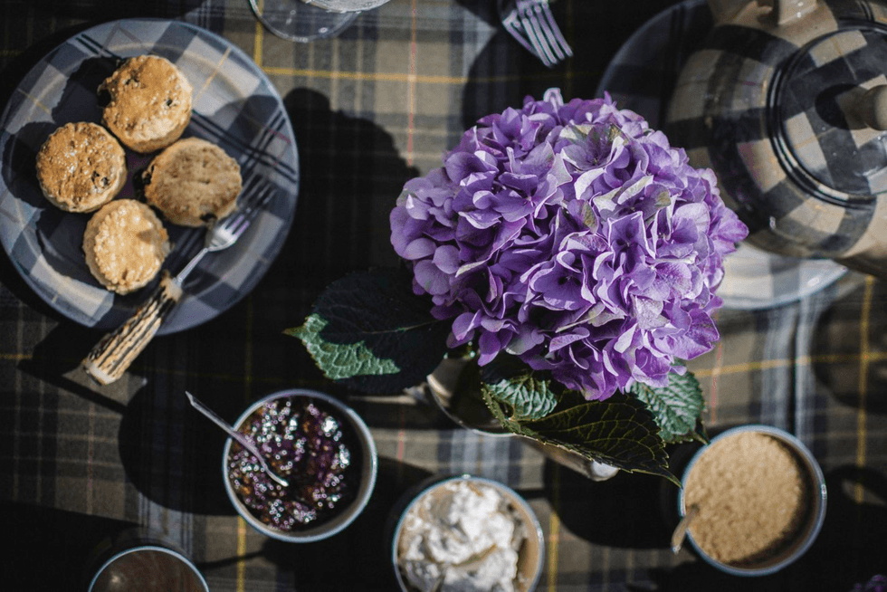 Purple hydrangea with scones, jam, cream, and sugar on a checkered tablecloth.
