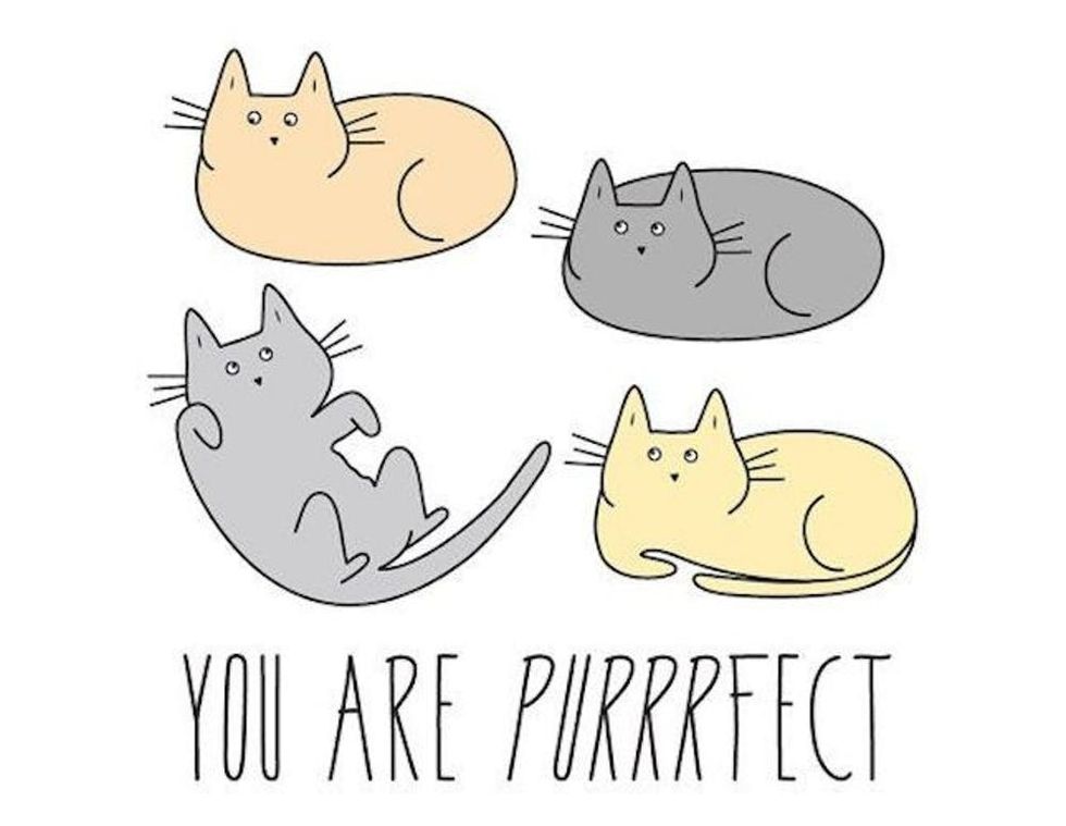 purrfect