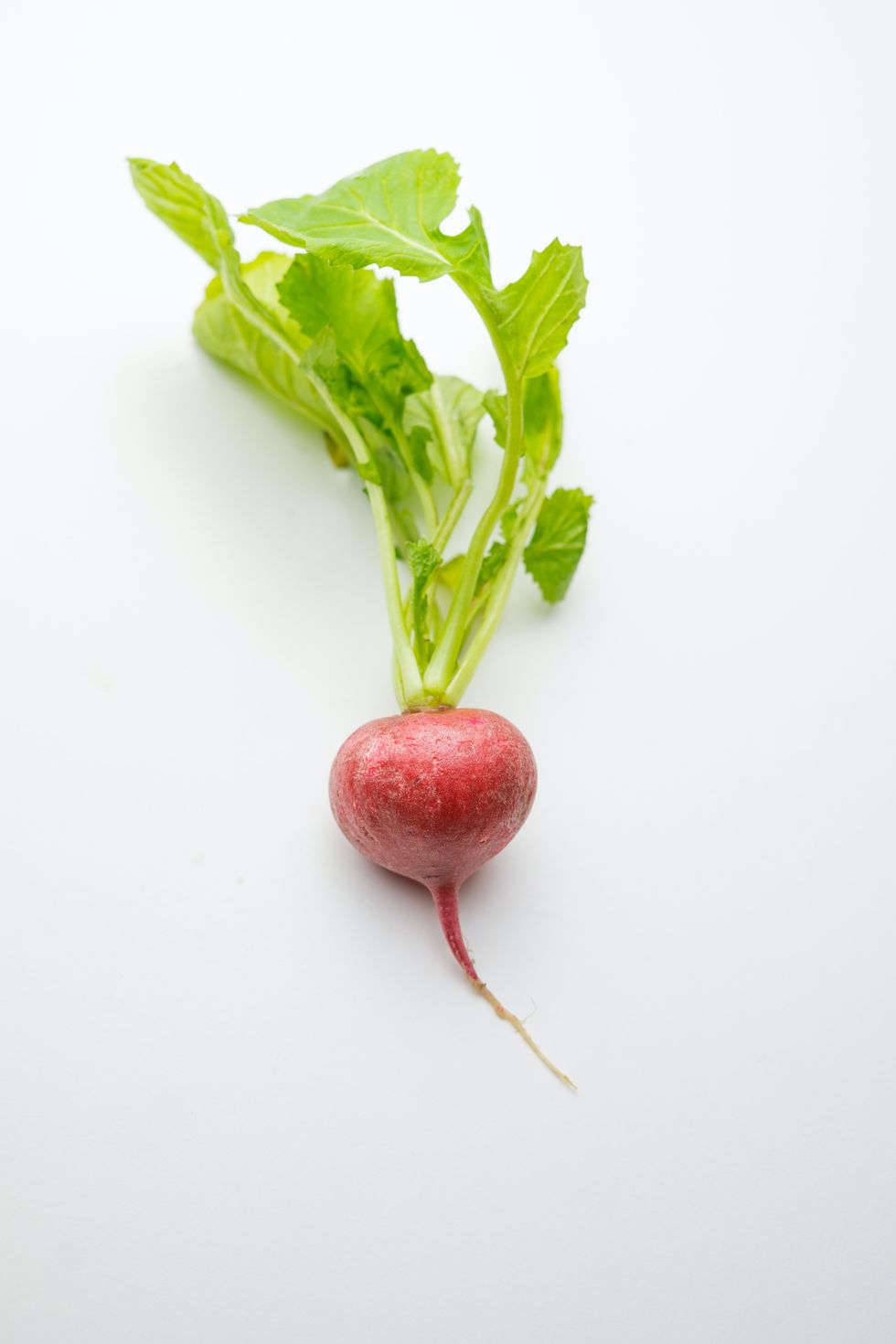 Radishes on a white background, how to cook with seasonal produce