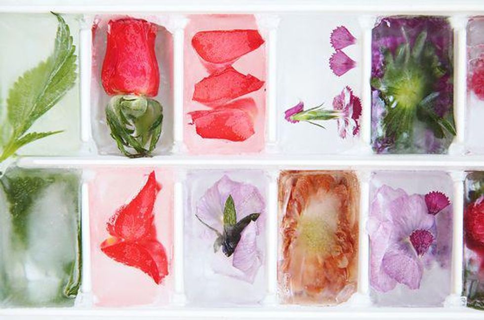 rainbow flowers in ice cubes for flavored water